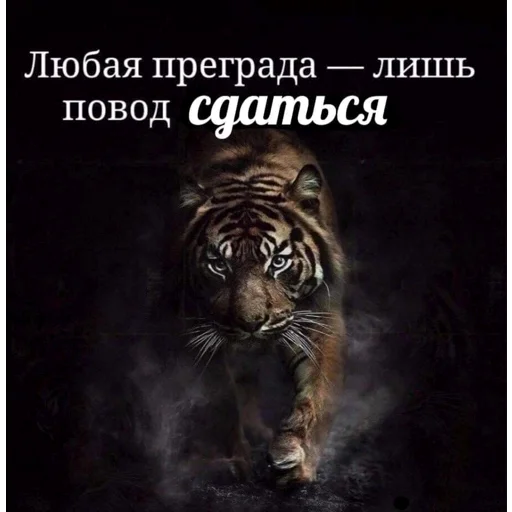 💪 Стикер «я ебала эту жизнь» для Telegram