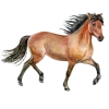 Обложка набора Ilovehorses