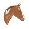 Стикер 17 Ilovehorses