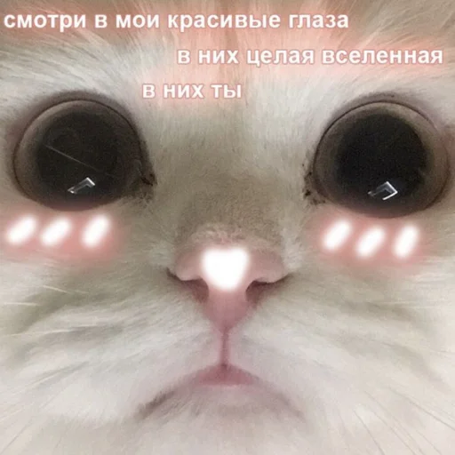 ❤️ Стикер «я люҕлю тᴇҕя» для Telegram