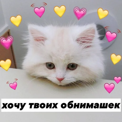 ❤️ Стикер «я люҕлю тᴇҕя» для Telegram