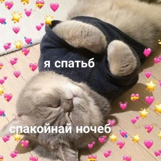 ❤️ Стикер «я люҕлю тᴇҕя» для Telegram