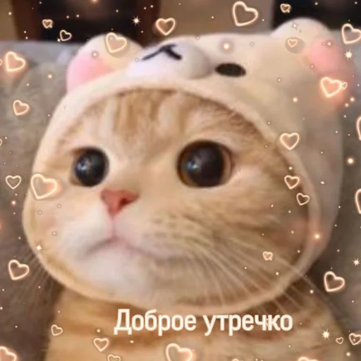 ❤️ Стикер «я люҕлю тᴇҕя» для Telegram