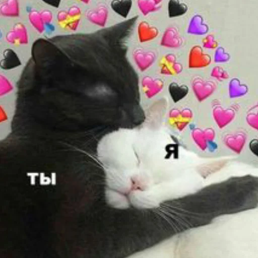 ❤️ Стикер «я люҕлю тᴇҕя» для Telegram