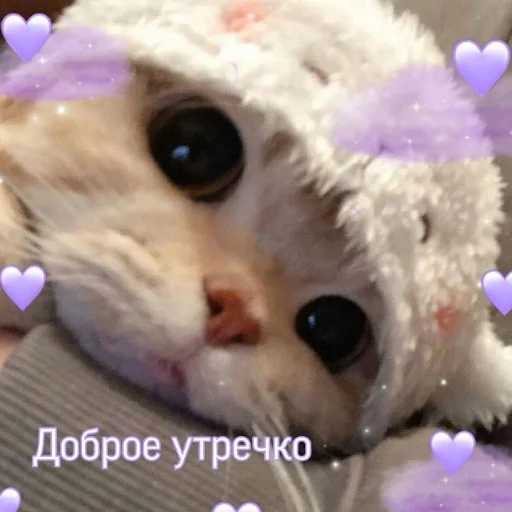❤️ Стикер «я люҕлю тᴇҕя» для Telegram