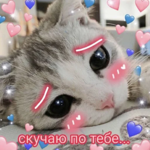 ❤️ Стикер «я люҕлю тᴇҕя» для Telegram