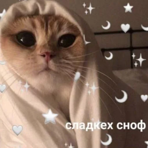 ❤️ Стикер «я люҕлю тᴇҕя» для Telegram