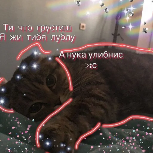 ❤️ Стикер «я люҕлю тᴇҕя» для Telegram