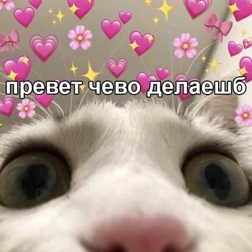 ❤️ Стикер «я люҕлю тᴇҕя» для Telegram