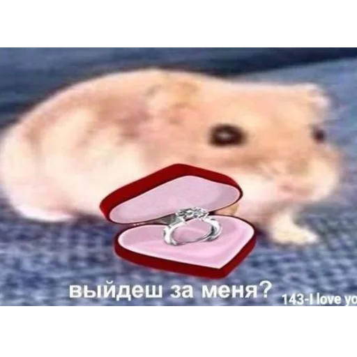 ❤️ Стикер «я люҕлю тᴇҕя» для Telegram
