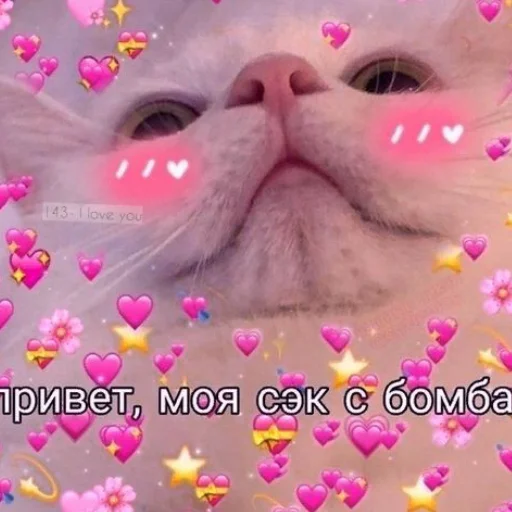 ❤️ Стикер «я люҕлю тᴇҕя» для Telegram