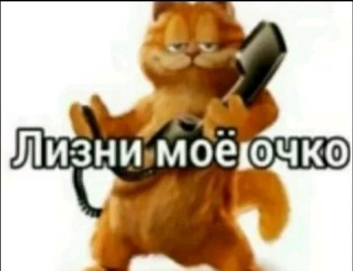 🤩 Стикер «Твоя мама шалава» для Telegram