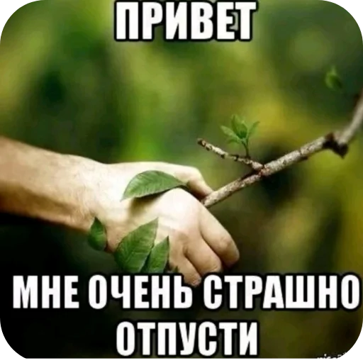 🖼 Стикер «Твоя мама шалава» для Telegram