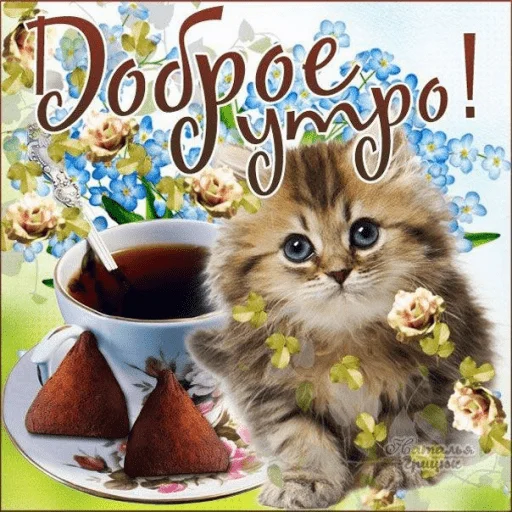 🤩 Стикер «Открытки» для Telegram