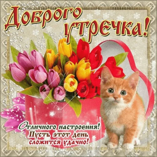 🤩 Стикер «Открытки» для Telegram