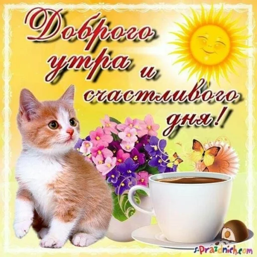 🤩 Стикер «Открытки» для Telegram