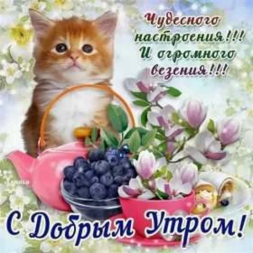 🤩 Стикер «Открытки» для Telegram