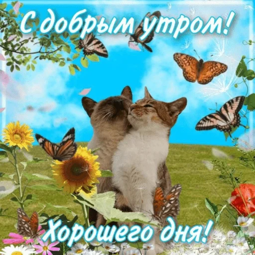 🤩 Стикер «Открытки» для Telegram