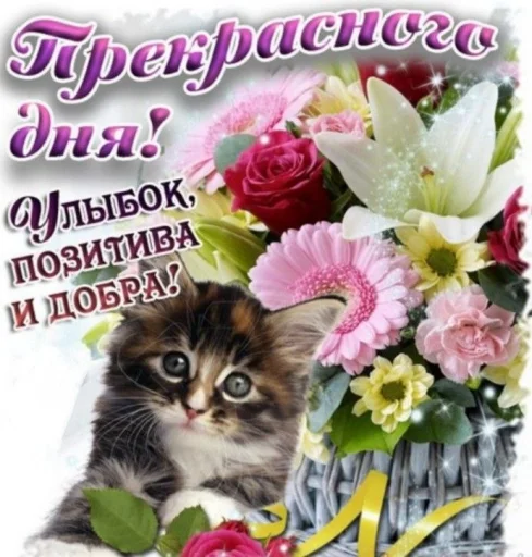 🤩 Стикер «Открытки» для Telegram