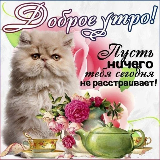 🤩 Стикер «Открытки» для Telegram