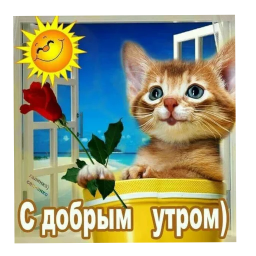🐱 Стикер «Открытки» для Telegram