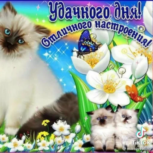 🤩 Стикер «Открытки» для Telegram