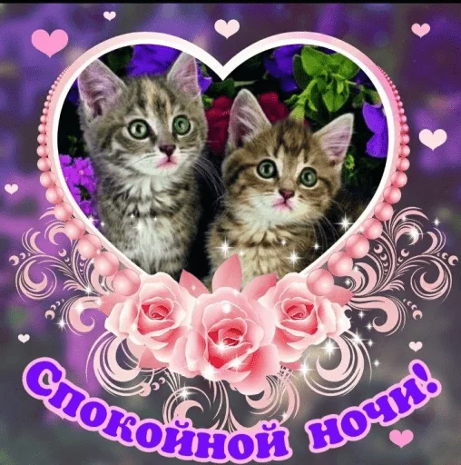 🤩 Стикер «Открытки» для Telegram