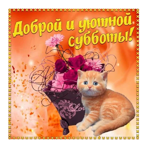 🐱 Стикер «Открытки» для Telegram