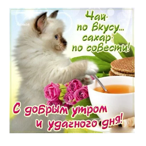 🐶 Стикер «Открытки» для Telegram