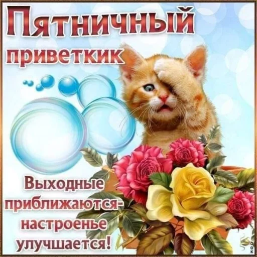 🤩 Стикер «Открытки» для Telegram