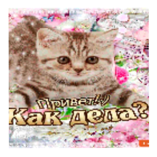 🐱 Стикер «Открытки» для Telegram