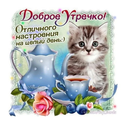 🐱 Стикер «Открытки» для Telegram
