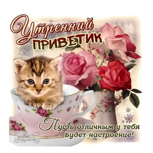 🐱 Стикер «Открытки» для Telegram