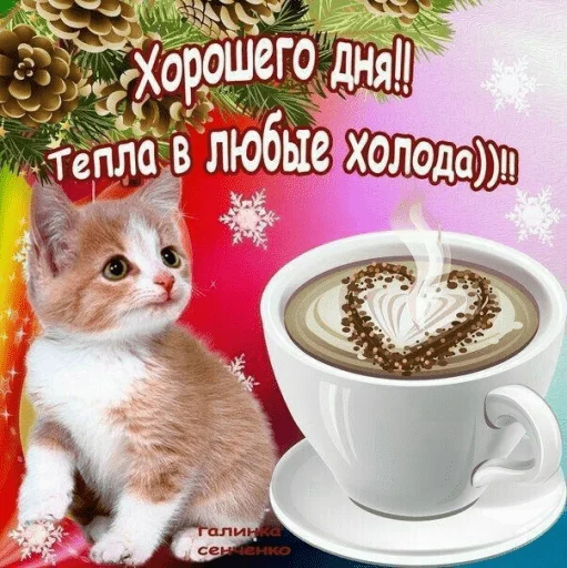 🤩 Стикер «Открытки» для Telegram