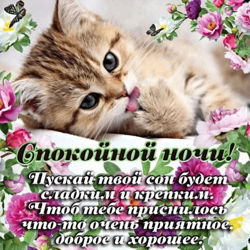 🤩 Стикер «Открытки» для Telegram