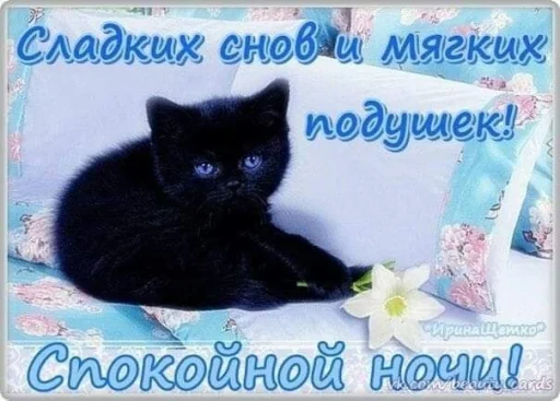 🤩 Стикер «Открытки» для Telegram