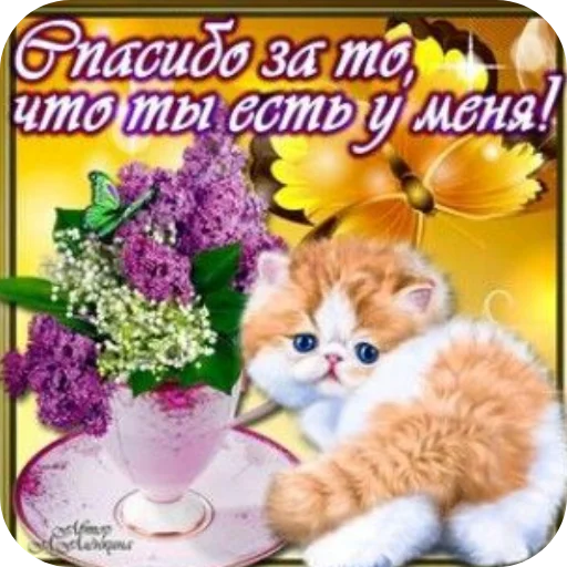 🐱 Стикер «Открытки» для Telegram
