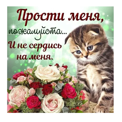 🐱 Стикер «Открытки» для Telegram