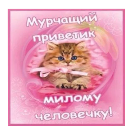 🔥 Стикер «Открытки» для Telegram