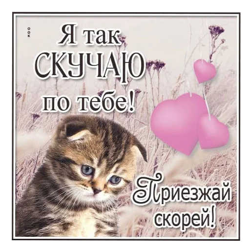🐱 Стикер «Открытки» для Telegram