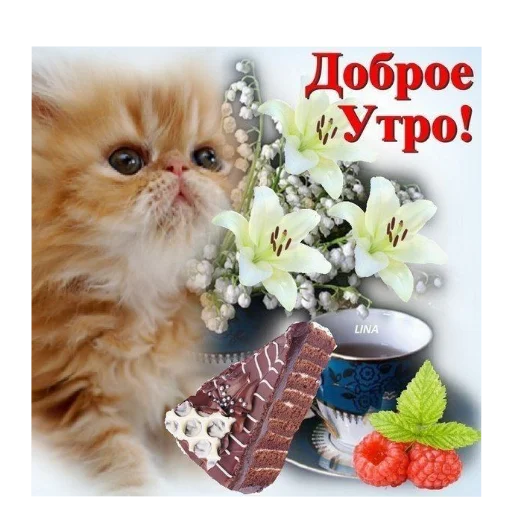 🐱 Стикер «Открытки» для Telegram