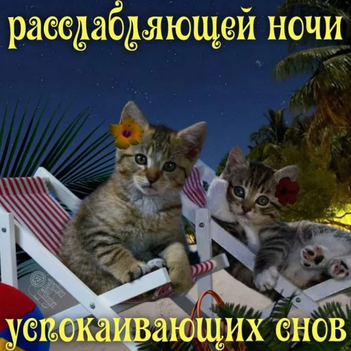 🤩 Стикер «Открытки» для Telegram