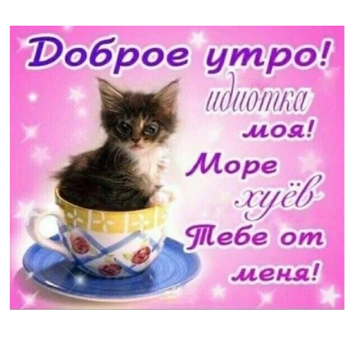 🐱 Стикер «Открытки» для Telegram