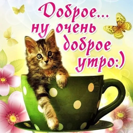 🤩 Стикер «Открытки» для Telegram