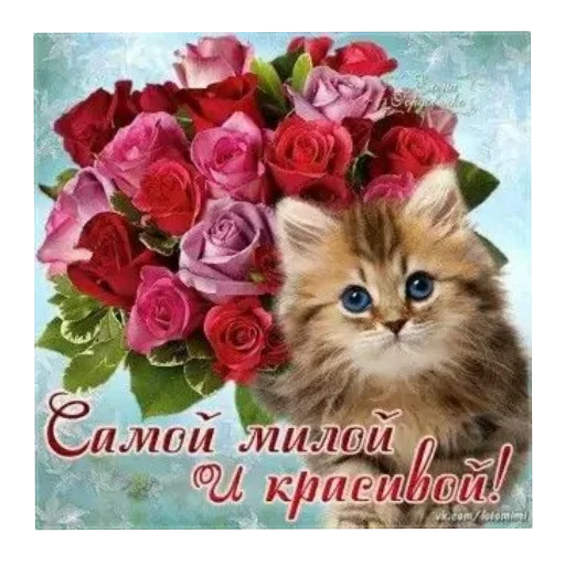 🌸 Стикер «Открытки» для Telegram