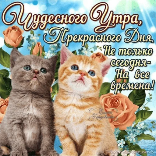 🤩 Стикер «Открытки» для Telegram