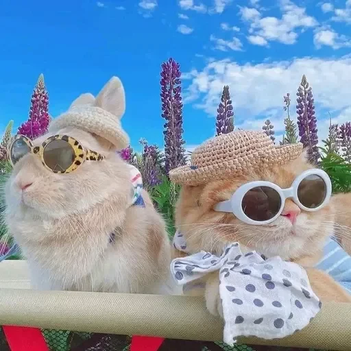 ❤️ Стикер «sweet pussy» для Telegram