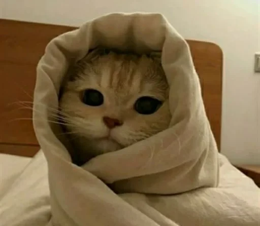 ☺️ Стикер «sweet pussy» для Telegram