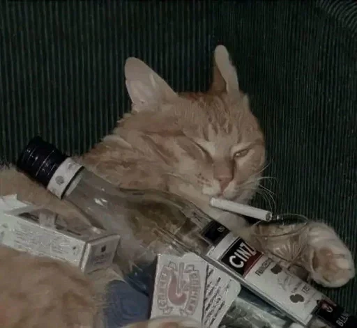 😗 Стикер «sweet pussy» для Telegram