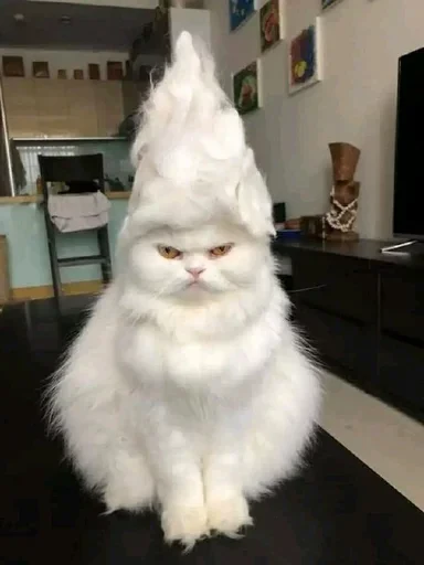 😡 Стикер «sweet pussy» для Telegram